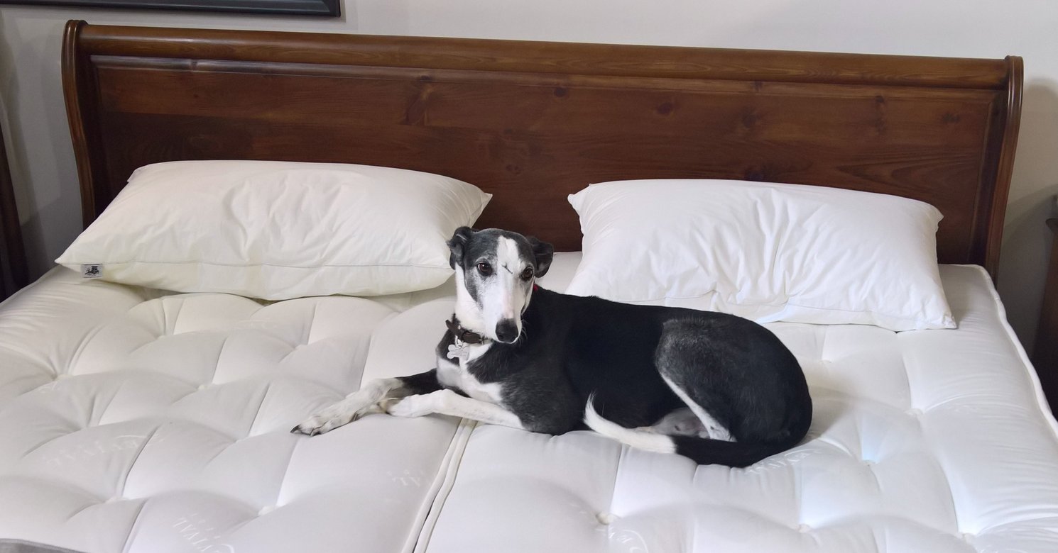 4 Types of Mattresses and Their Pros and Cons